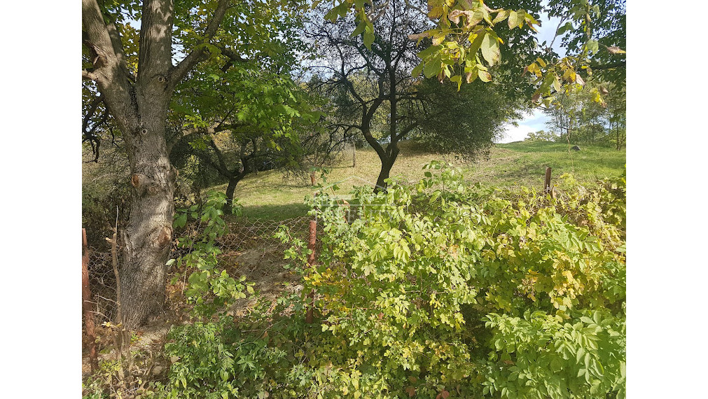 PREDAJ ZÁHRADA, VYŠNÁ HUTKA